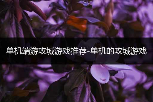 单机端游攻城游戏推荐-单机的攻城游戏