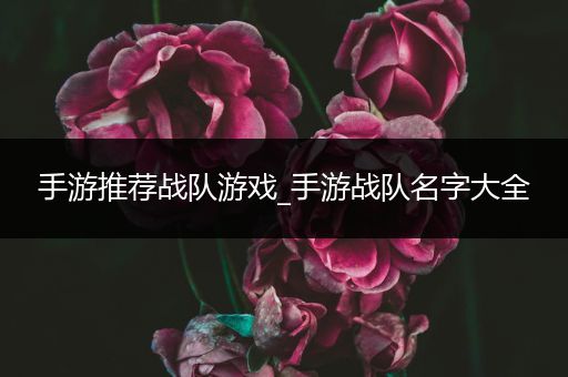 手游推荐战队游戏_手游战队名字大全