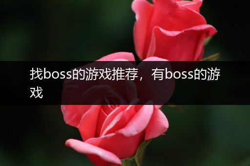 找boss的游戏推荐，有boss的游戏