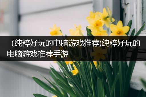 （纯粹好玩的电脑游戏推荐)纯粹好玩的电脑游戏推荐手游