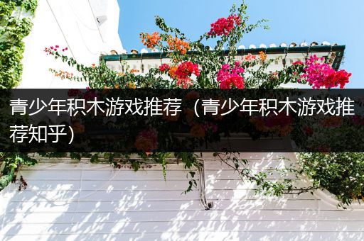 青少年积木游戏推荐（青少年积木游戏推荐知乎）