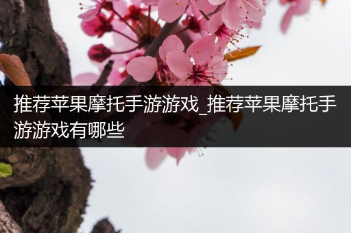 推荐苹果摩托手游游戏_推荐苹果摩托手游游戏有哪些
