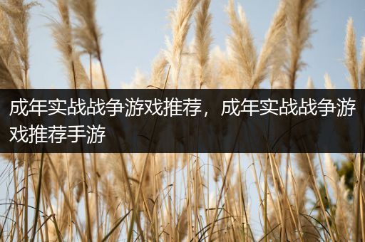 成年实战战争游戏推荐，成年实战战争游戏推荐手游