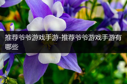 推荐爷爷游戏手游-推荐爷爷游戏手游有哪些