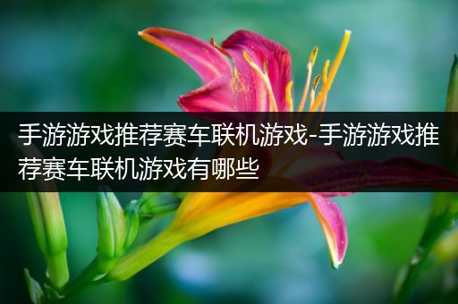 手游游戏推荐赛车联机游戏-手游游戏推荐赛车联机游戏有哪些