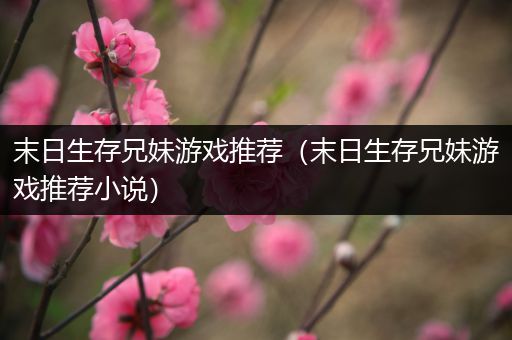 末日生存兄妹游戏推荐（末日生存兄妹游戏推荐小说）