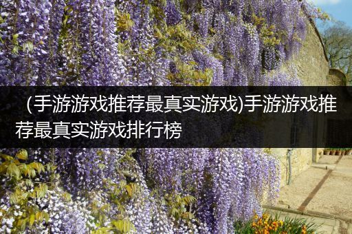 （手游游戏推荐最真实游戏)手游游戏推荐最真实游戏排行榜