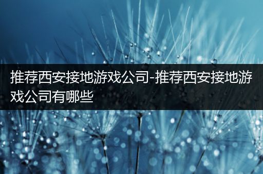 推荐西安接地游戏公司-推荐西安接地游戏公司有哪些