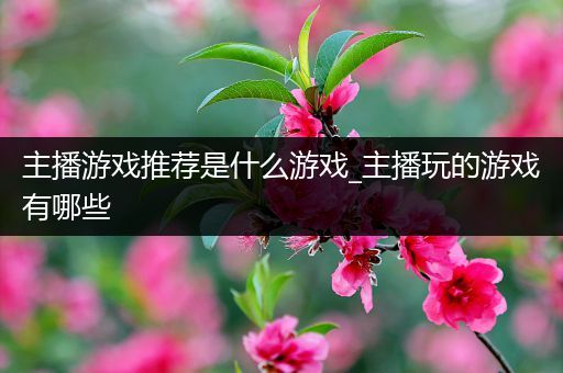 主播游戏推荐是什么游戏_主播玩的游戏有哪些