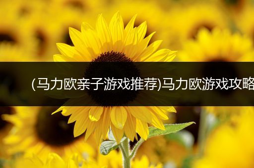（马力欧亲子游戏推荐)马力欧游戏攻略