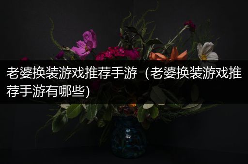 老婆换装游戏推荐手游（老婆换装游戏推荐手游有哪些）