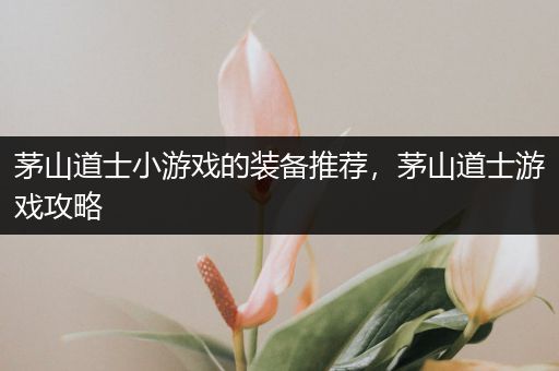 茅山道士小游戏的装备推荐，茅山道士游戏攻略