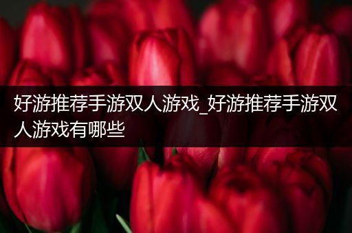 好游推荐手游双人游戏_好游推荐手游双人游戏有哪些
