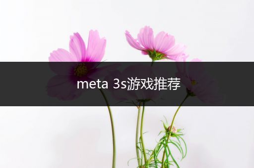 meta 3s游戏推荐