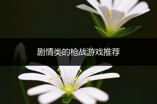 剧情类的枪战游戏推荐
