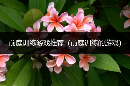 前庭训练游戏推荐（前庭训练的游戏）