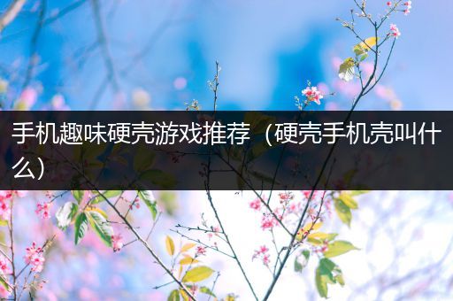 手机趣味硬壳游戏推荐（硬壳手机壳叫什么）