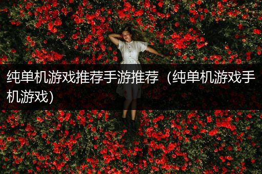 纯单机游戏推荐手游推荐（纯单机游戏手机游戏）