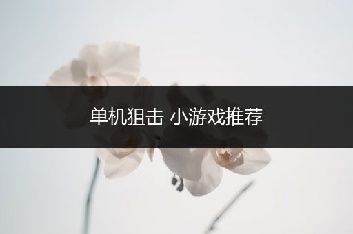 单机狙击 小游戏推荐