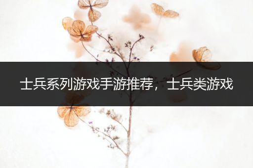 士兵系列游戏手游推荐，士兵类游戏