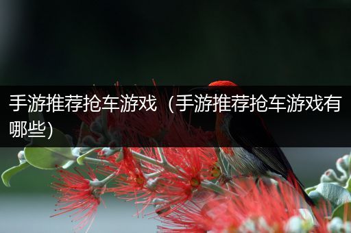 手游推荐抢车游戏（手游推荐抢车游戏有哪些）