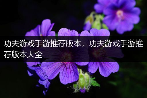 功夫游戏手游推荐版本，功夫游戏手游推荐版本大全