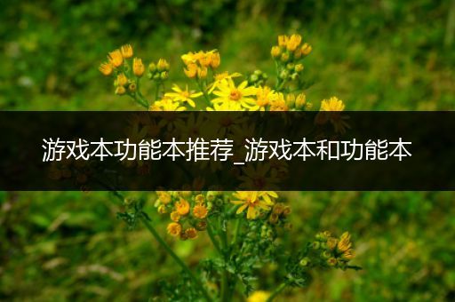 游戏本功能本推荐_游戏本和功能本