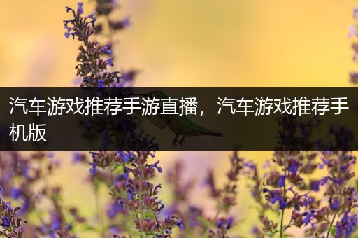 汽车游戏推荐手游直播，汽车游戏推荐手机版