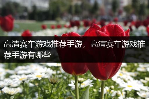 高清赛车游戏推荐手游，高清赛车游戏推荐手游有哪些