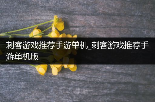 刺客游戏推荐手游单机_刺客游戏推荐手游单机版