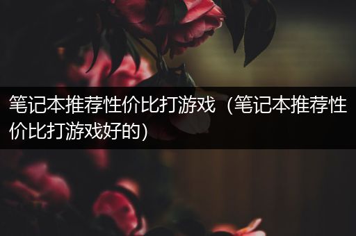 笔记本推荐性价比打游戏（笔记本推荐性价比打游戏好的）