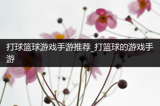 打球篮球游戏手游推荐_打篮球的游戏手游