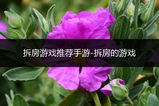 拆房游戏推荐手游-拆房的游戏