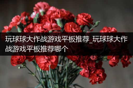 玩球球大作战游戏平板推荐_玩球球大作战游戏平板推荐哪个