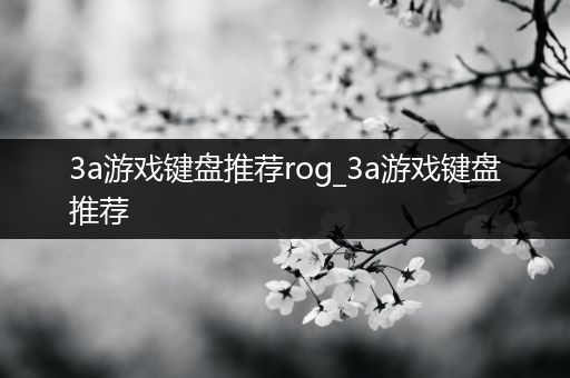 3a游戏键盘推荐rog_3a游戏键盘推荐
