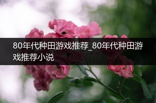 80年代种田游戏推荐_80年代种田游戏推荐小说
