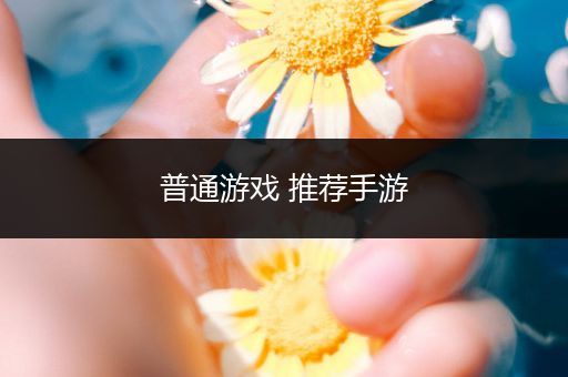 普通游戏 推荐手游