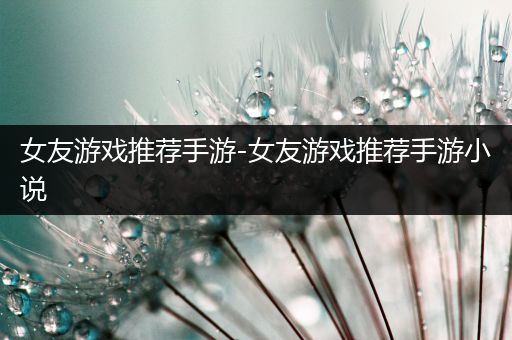 女友游戏推荐手游-女友游戏推荐手游小说