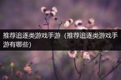 推荐追逐类游戏手游（推荐追逐类游戏手游有哪些）