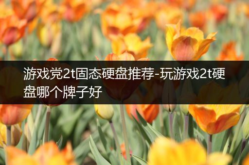游戏党2t固态硬盘推荐-玩游戏2t硬盘哪个牌子好