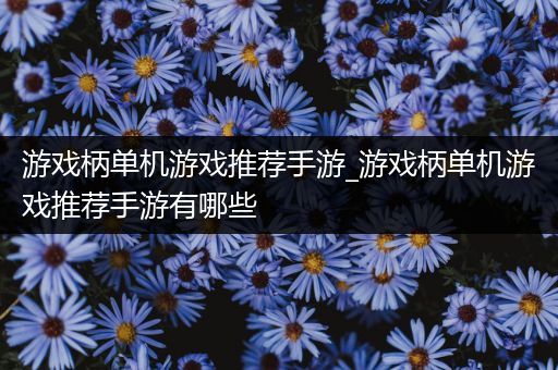 游戏柄单机游戏推荐手游_游戏柄单机游戏推荐手游有哪些