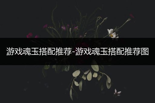 游戏魂玉搭配推荐-游戏魂玉搭配推荐图