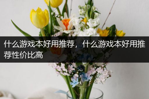 什么游戏本好用推荐，什么游戏本好用推荐性价比高