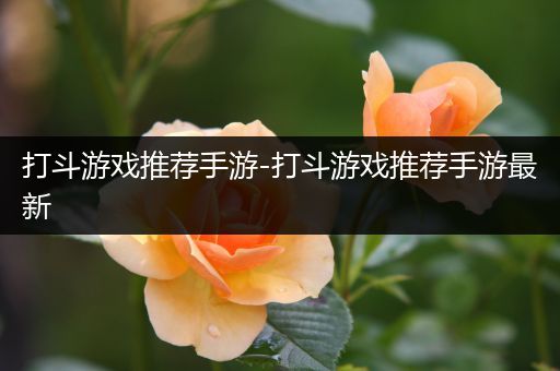 打斗游戏推荐手游-打斗游戏推荐手游最新