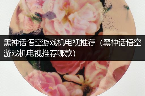 黑神话悟空游戏机电视推荐（黑神话悟空游戏机电视推荐哪款）