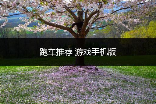 跑车推荐 游戏手机版