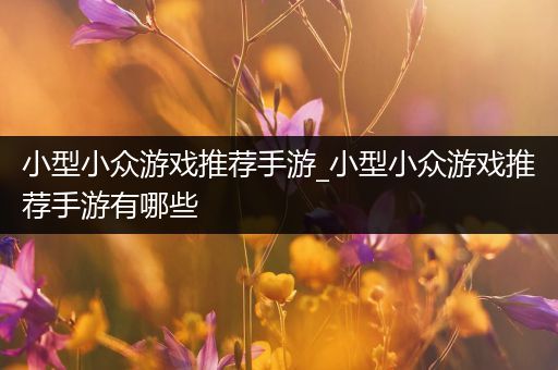 小型小众游戏推荐手游_小型小众游戏推荐手游有哪些
