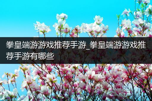 拳皇端游游戏推荐手游_拳皇端游游戏推荐手游有哪些