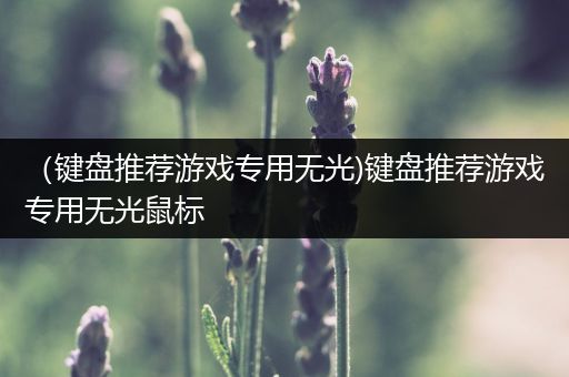（键盘推荐游戏专用无光)键盘推荐游戏专用无光鼠标