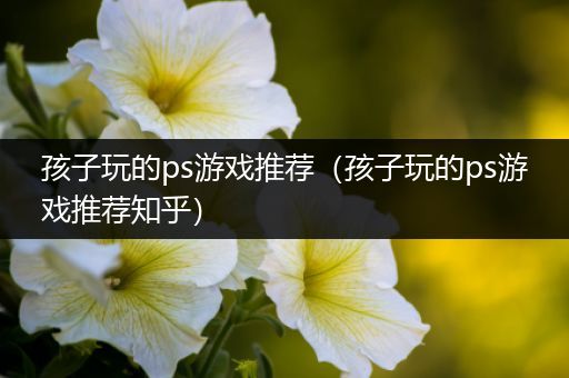 孩子玩的ps游戏推荐（孩子玩的ps游戏推荐知乎）